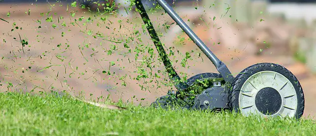 How To Collect Grass Clippings After Mowing