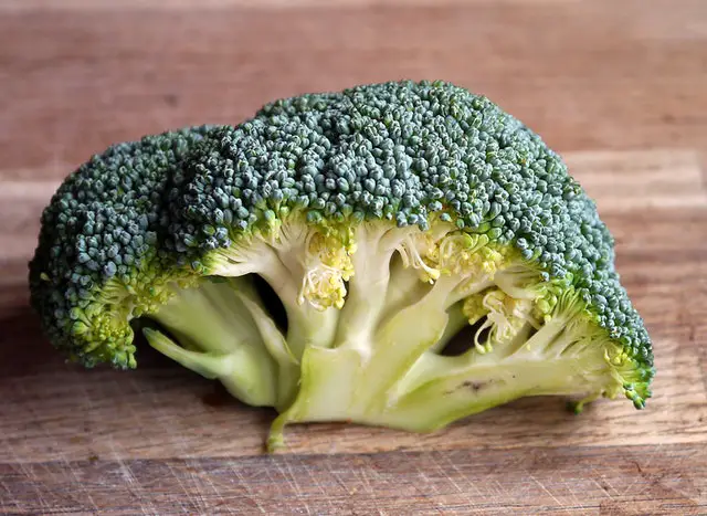Is Broccoli Man Made