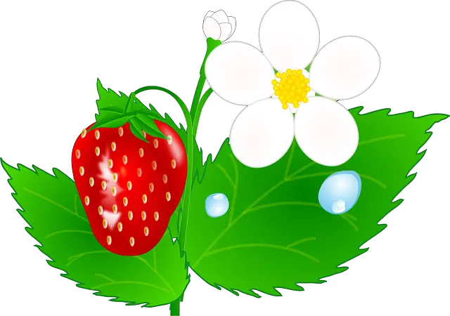 strawberry ge685ab7ab 640