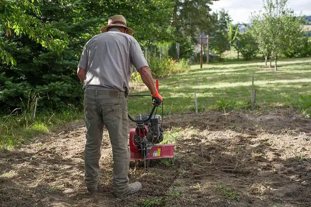 How To Use Tiller To Remove Weeds