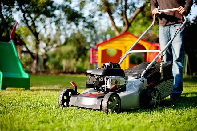 Does Mowing Weeds Kill Them?