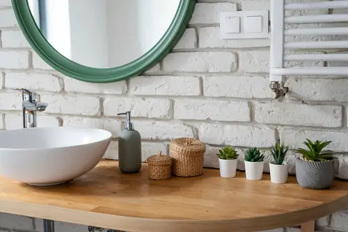Can Succulents Survive in Bathrooms
