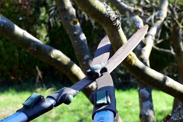 pruning shears ge243856db 640