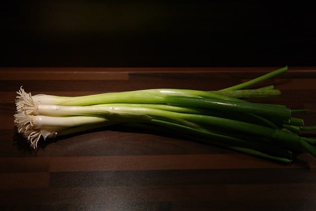 winter onion g5f73481f7 640