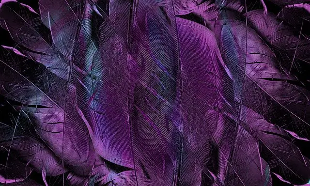 Flowers That Look Like Feathers
