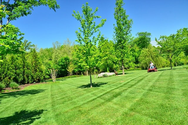 lawn care gac42f2725 640