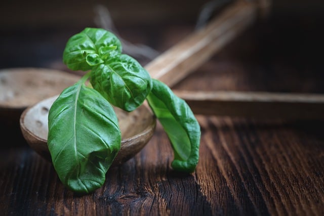 basil g7073a9190 640