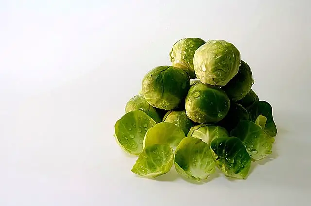 brussels sprouts gb16a0f24a 640