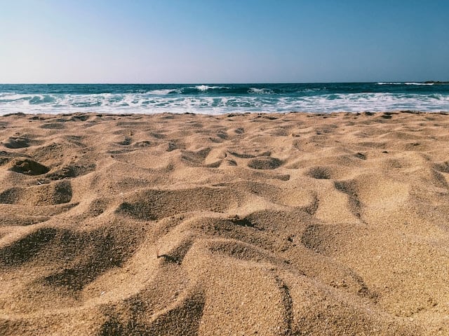 Beach Sand for Plants