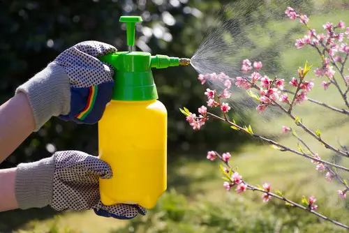 Can You Use Home Defense Spray on Plants
