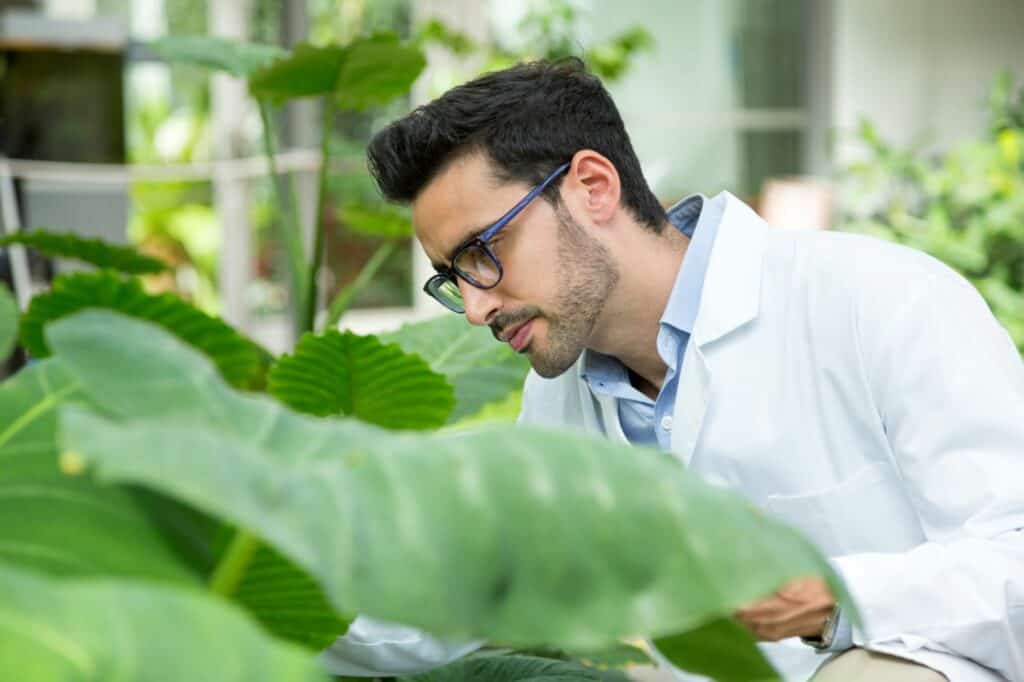 biologist-checking-plants-in-a-greenhouse-