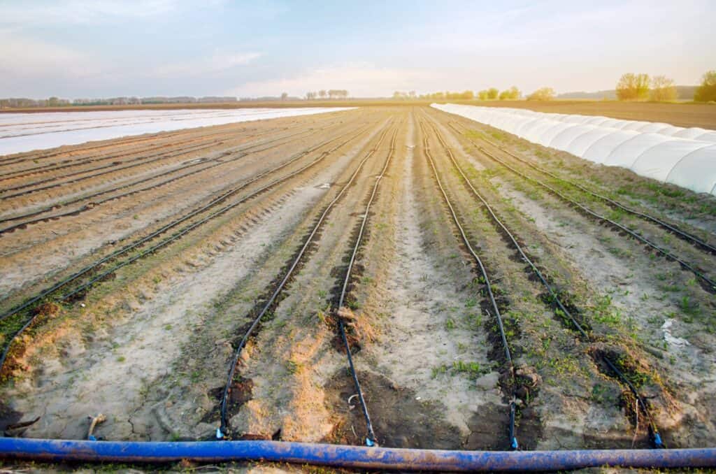 drip-irrigation-on-the-field-