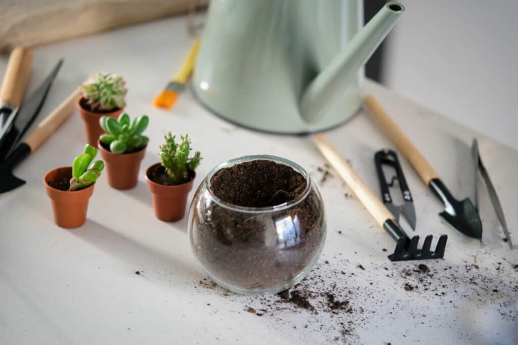 garden-tool-set-to-transplant-mini-cactus-and-succulent-
