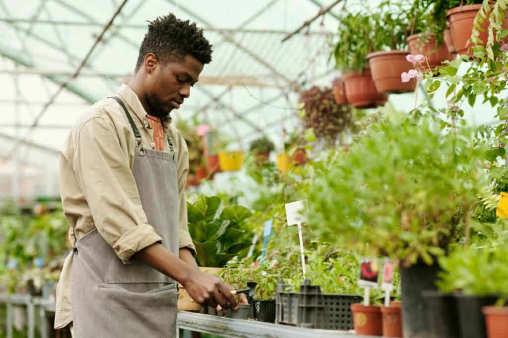 nursery-worker-trimming-plants-in-greenhouse-