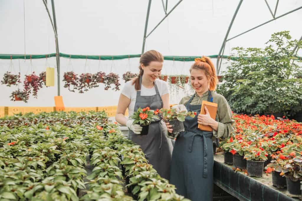 plant-nursery-workers-checking-plants-in-greenhouse-How Much Do Plant Nursery Workers Make