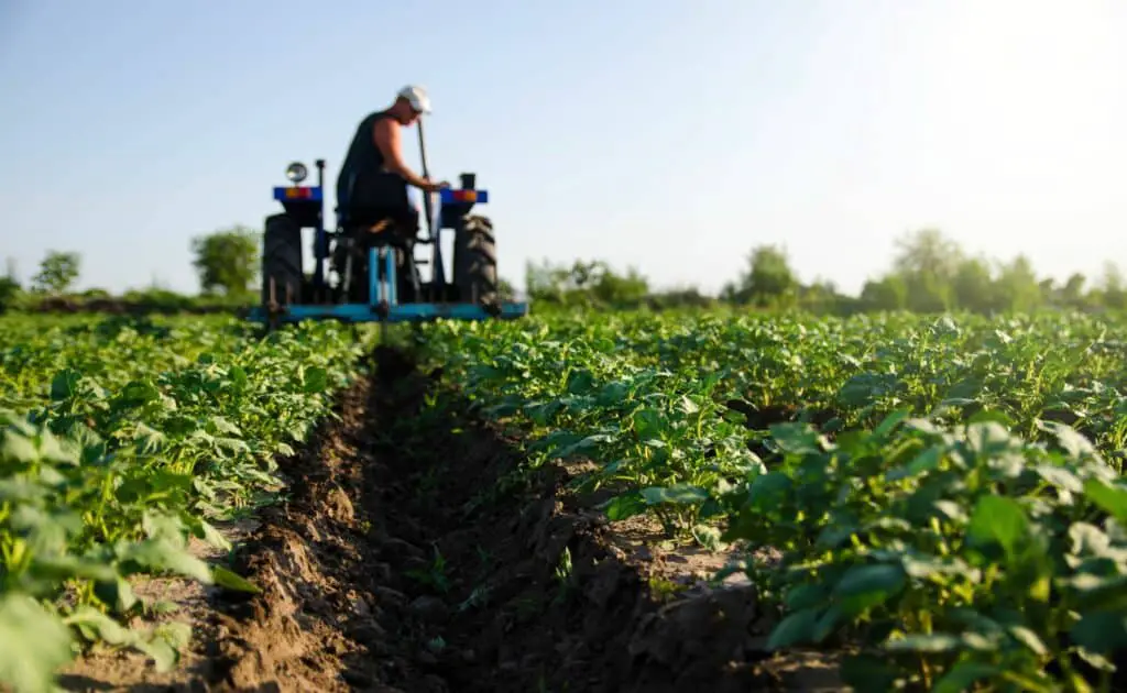 potato-plantation-and-tractor-farmer-cultivating-