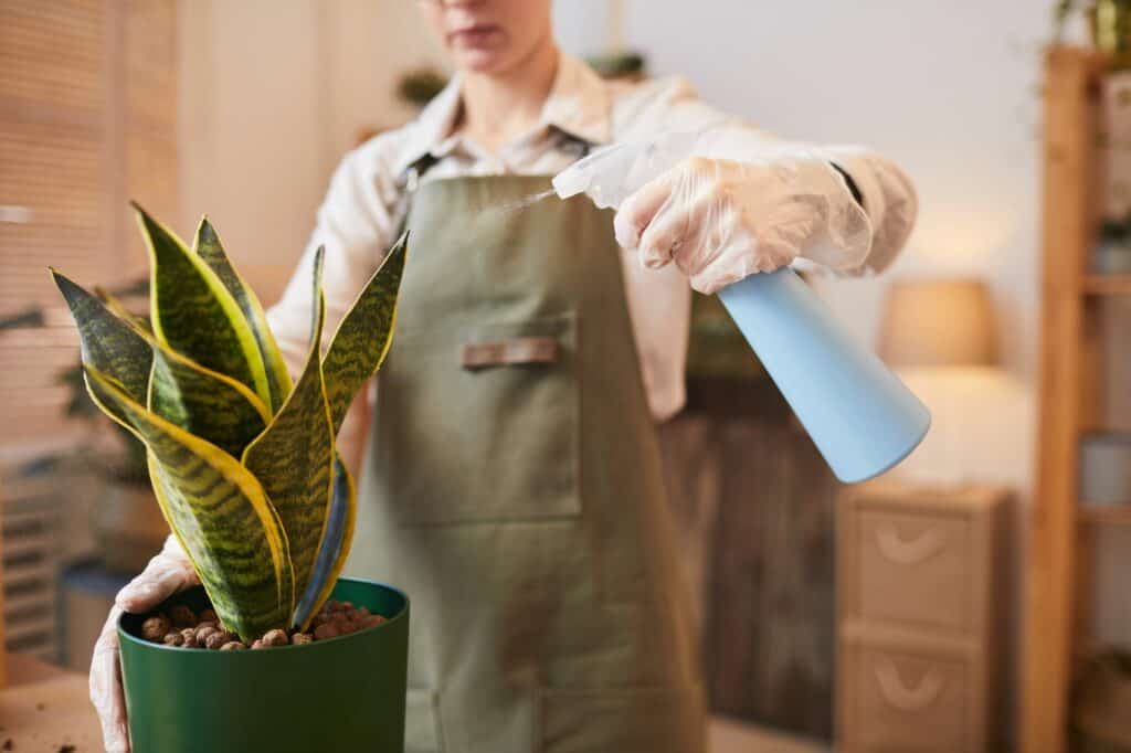 young-woman-watering-houseplants-close-up-