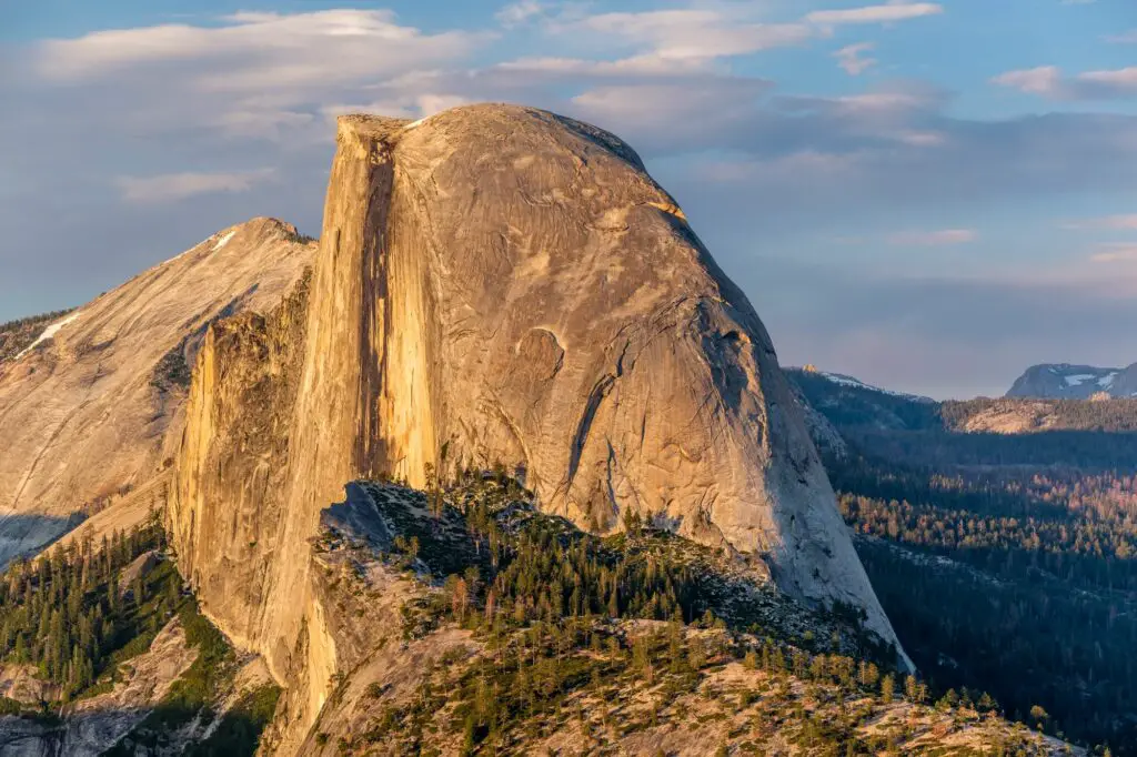 half-dome-rock-formation-in-yosemite-national-park-What Plants Can You Find in Yosemite National Park