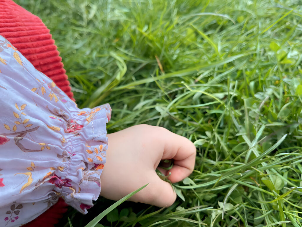 close up child s hand inspecting green grass lawn 2023 03 29 18 48 14 utc