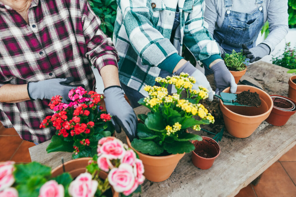 close up of women preparing flowers plants inside 2023 02 03 02 22 11 utc