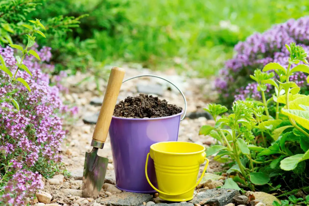 compost-in-the-basket-in-the-garden-