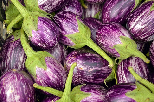 eggplant 3758698 640