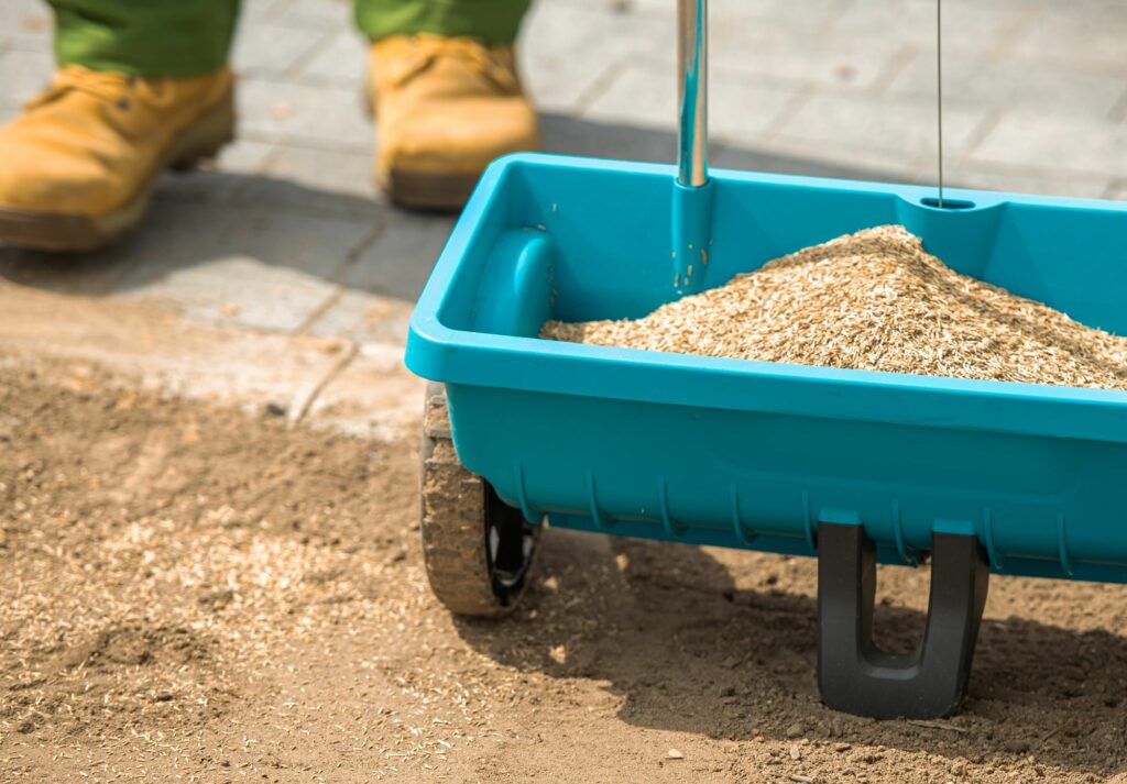 grass-seeding-spreader-full-of-seeds-
