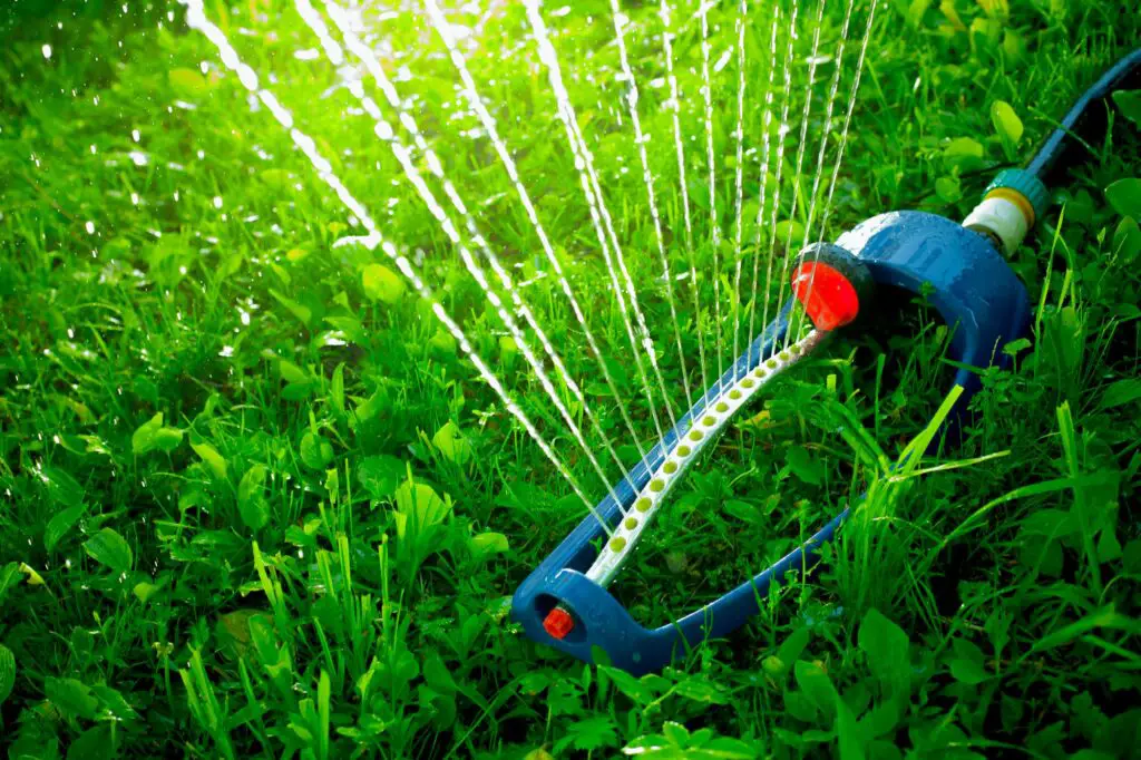 lawn-sprinkler-spaying-water-over-green-grass-when to plant grass seed in ct spring