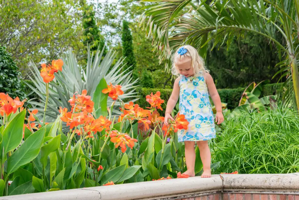 little blonde girl with canna lilies 2022 11 10 02 57 36 utc