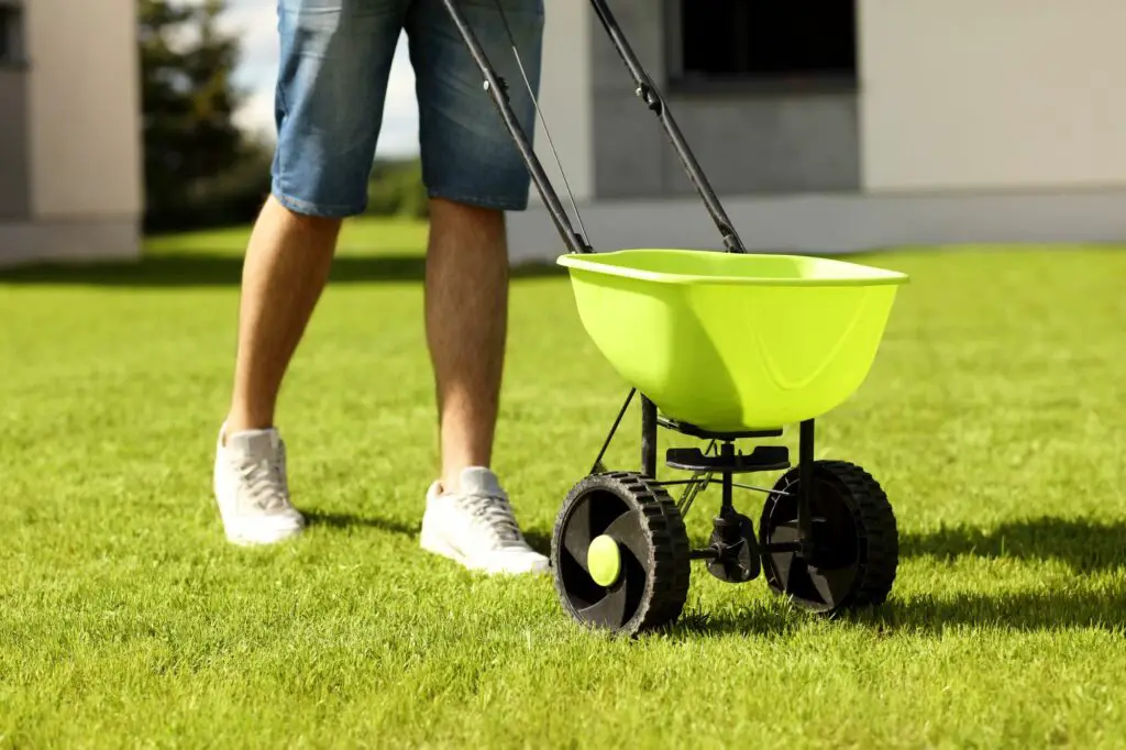 man-with-seeder-when to plant grass seed in houston
