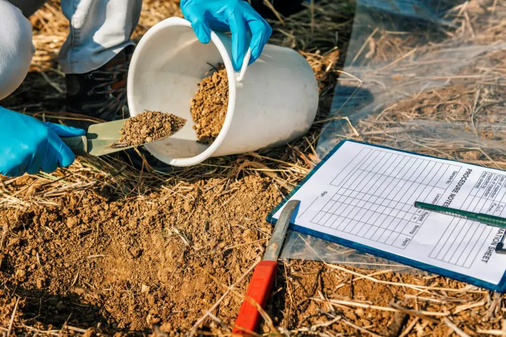 soil-testing-agronomy-inspector-taking-soil-sample-
