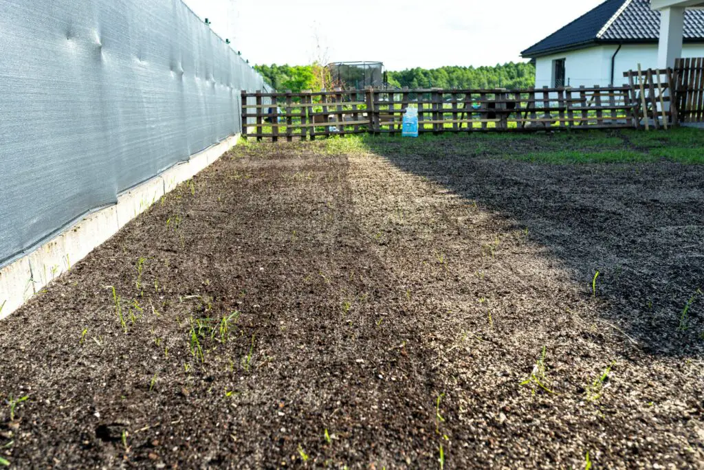sowing-grass-with-a-wheeled-seeder-visible-grass-when to plant grass seed in idaho