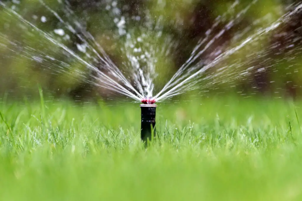 sprinkler-in-action-watering-grass-