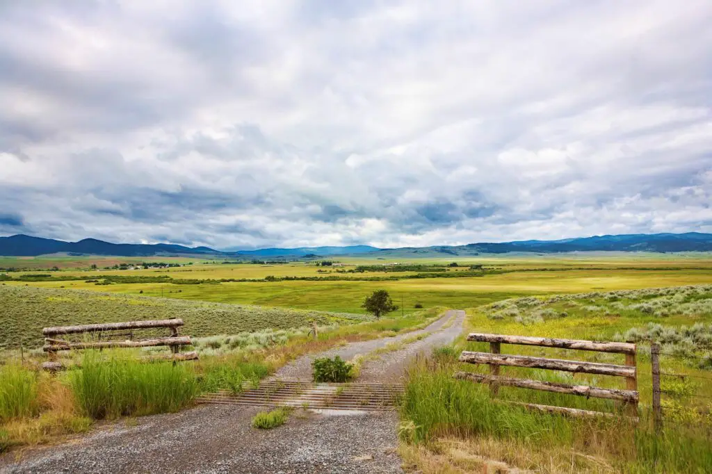 the-montana-landscape-open-grassland-fences-