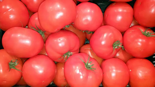 tomatoes 1562753 640