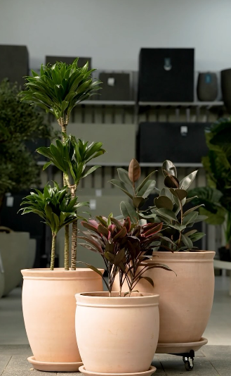 Screenshot 2024 09 16 102222