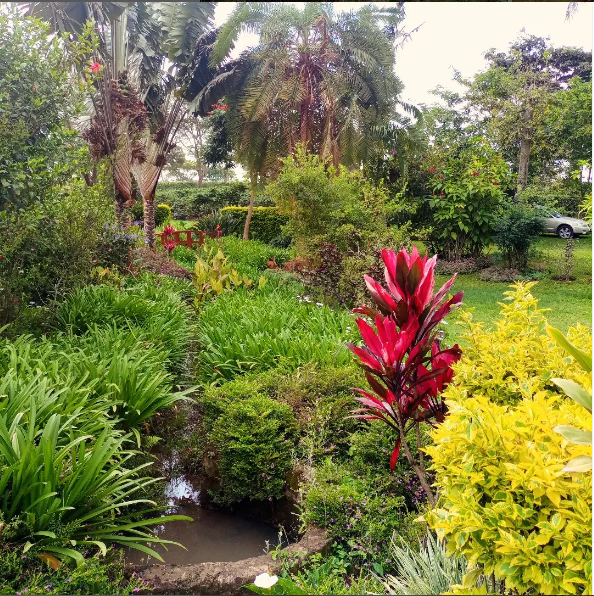 Screenshot 2024 09 16 102549