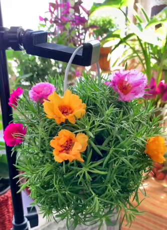 Screenshot 2024 09 16 104414