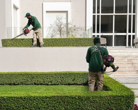 Screenshot 2024 09 16 105424