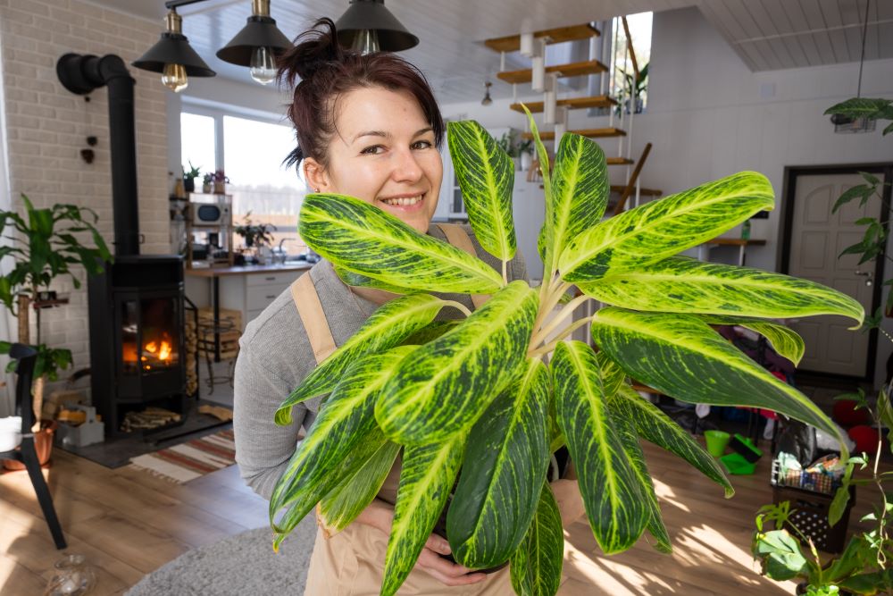 a happy woman in a green house with a potted plant 2023 11 27 05 12 21 utc