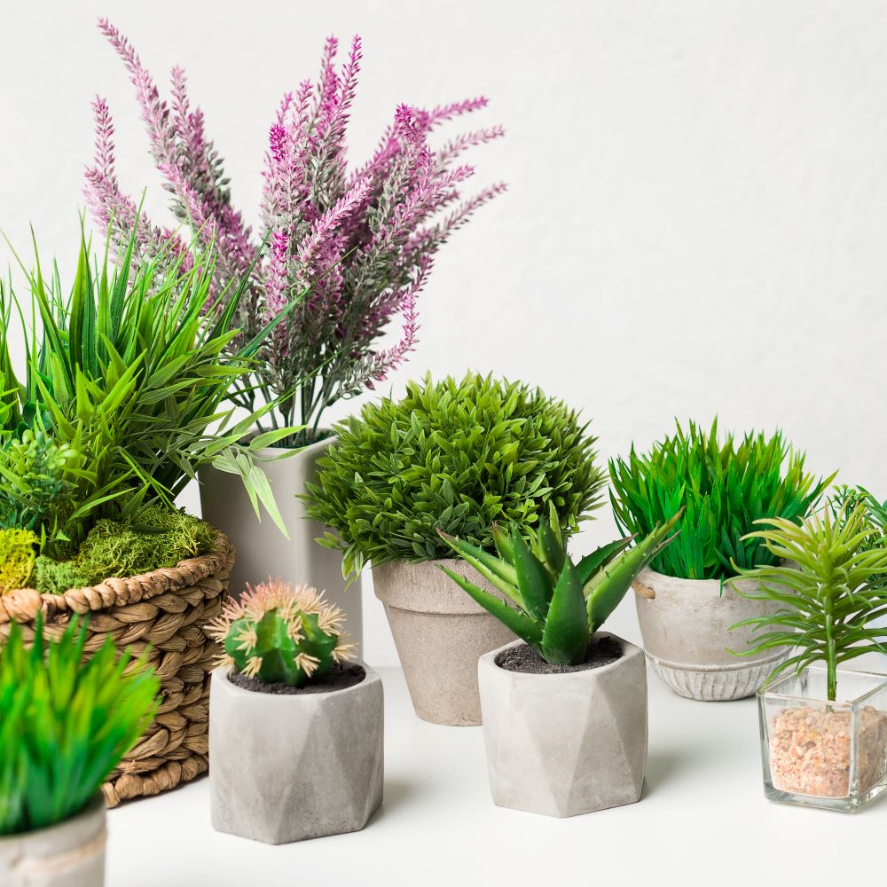 Faux Plants That Look Real