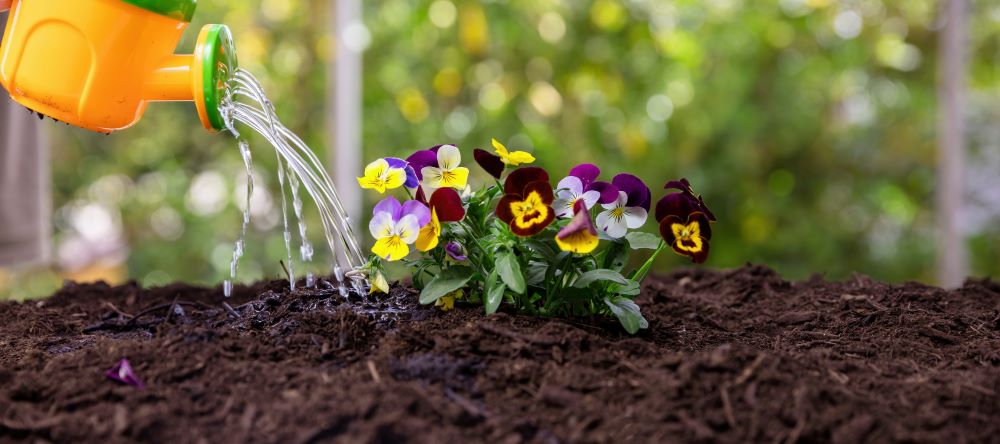 garden work children play and fun kids watering 2023 11 27 04 55 18 utc