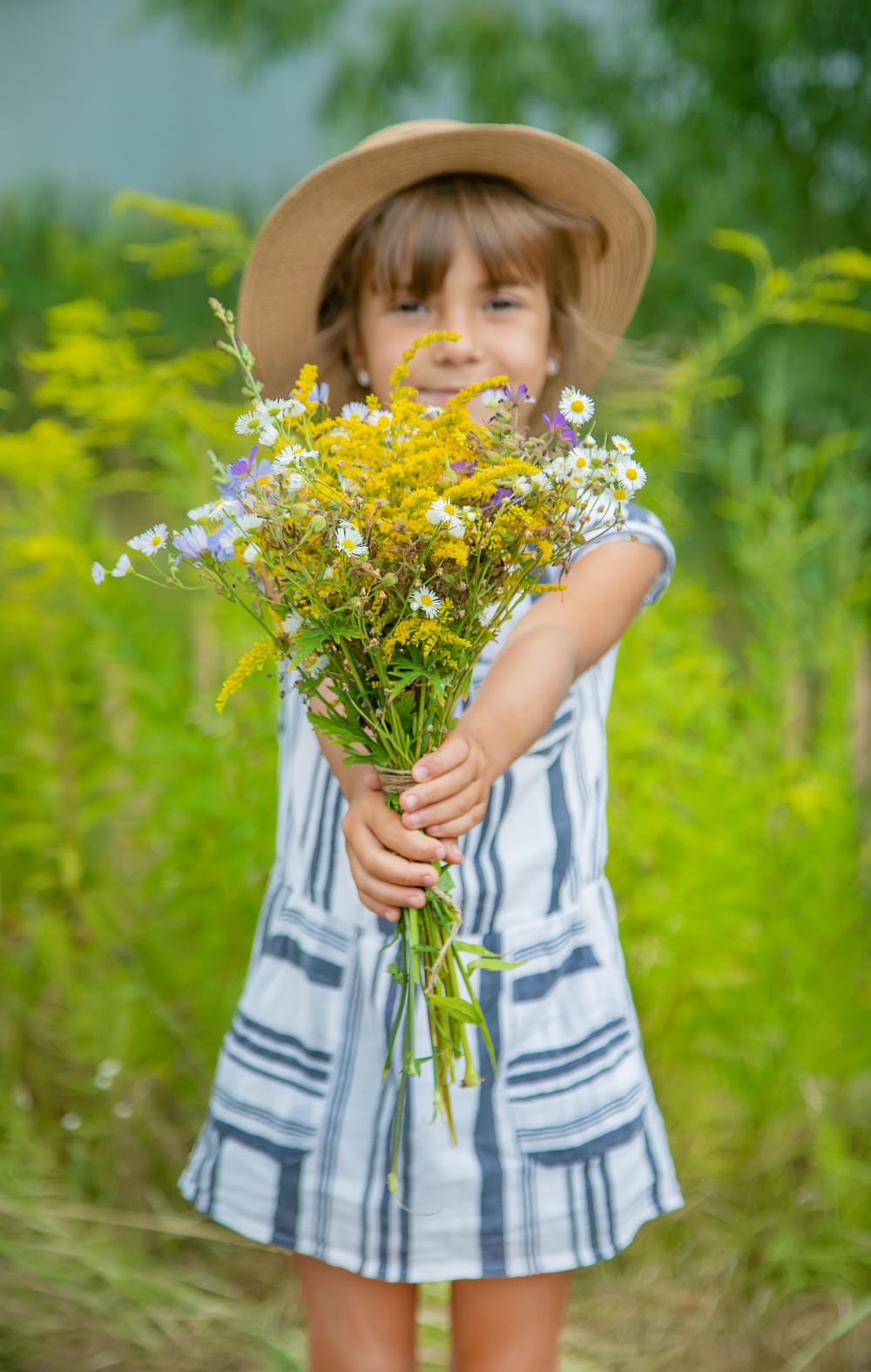 20 Non Toxic Wild Flowers To Grow At Home